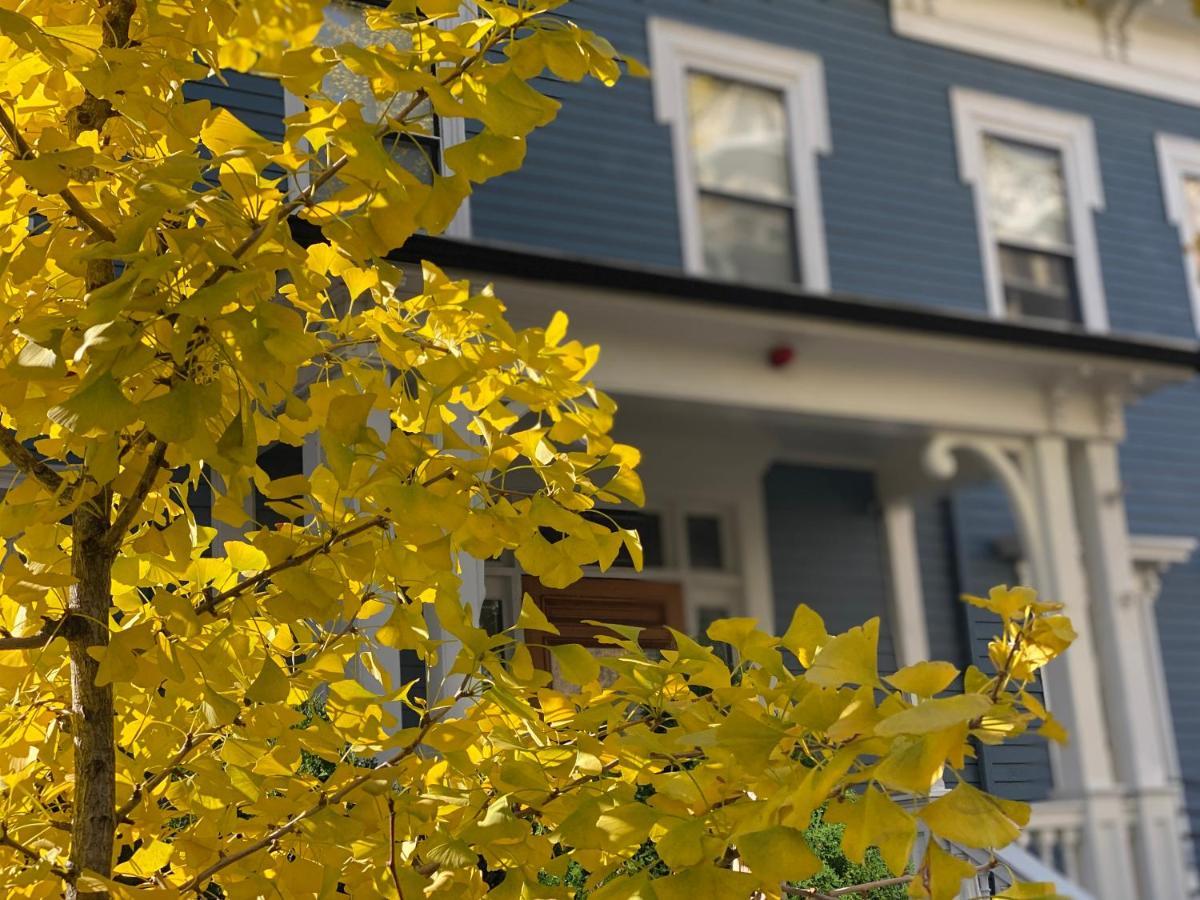 Ginkgo House On Harvard ケンブリッジ エクステリア 写真