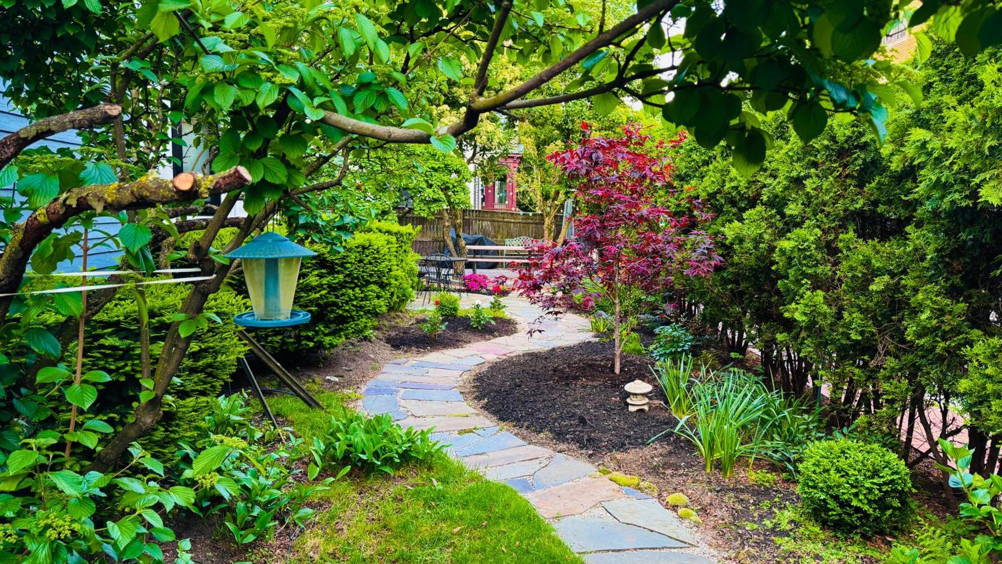 Ginkgo House On Harvard ケンブリッジ エクステリア 写真