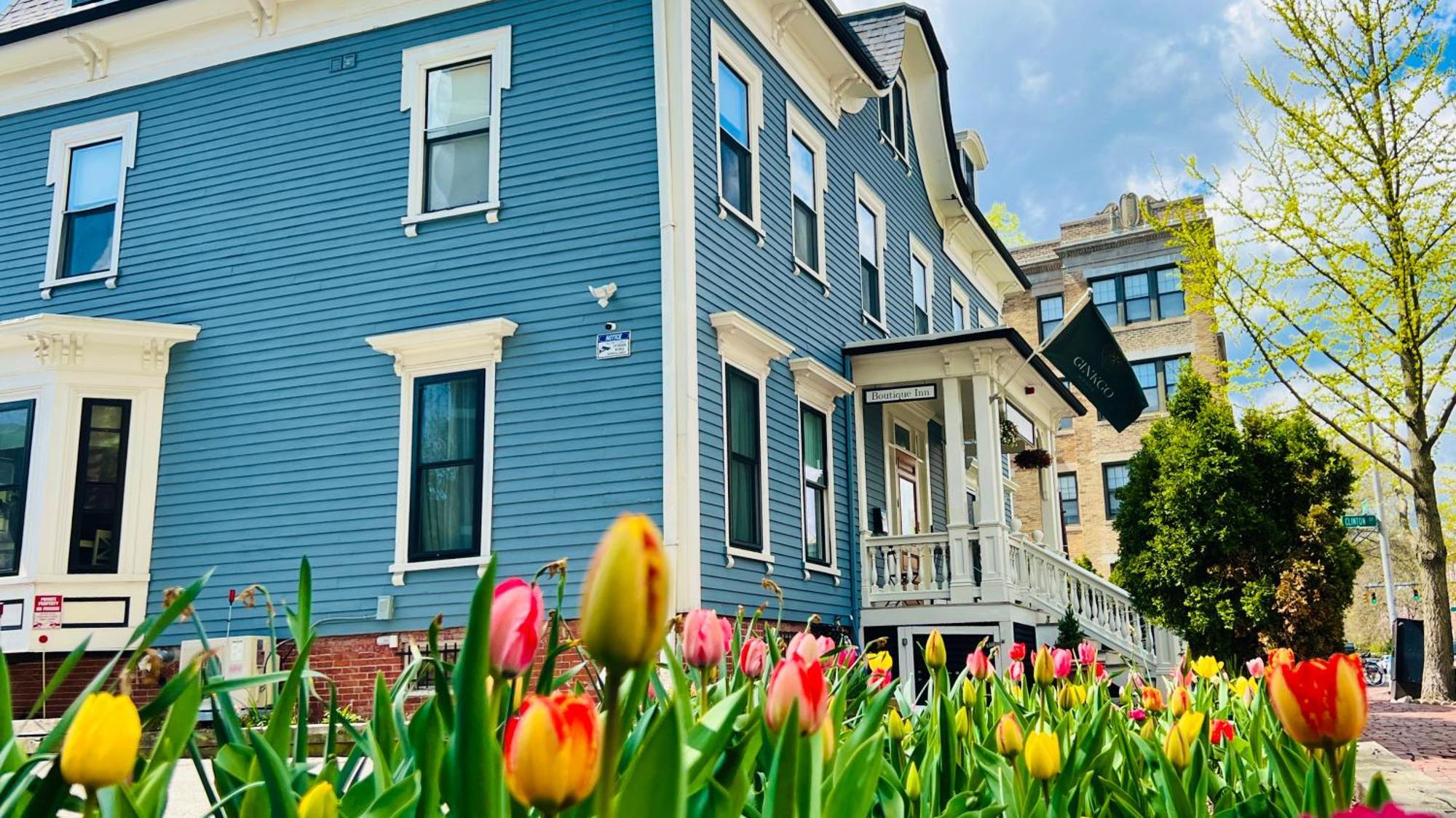 Ginkgo House On Harvard ケンブリッジ エクステリア 写真
