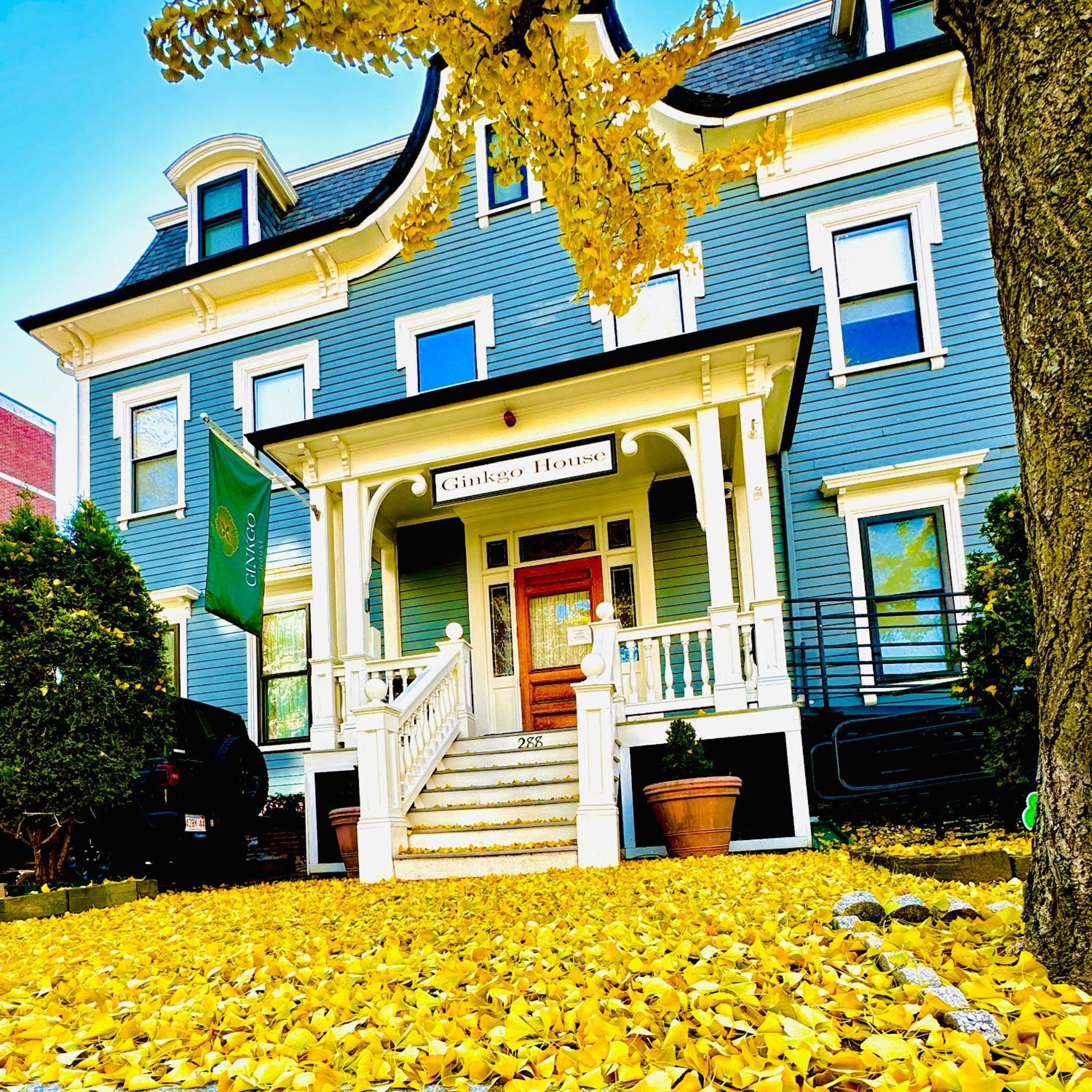 Ginkgo House On Harvard ケンブリッジ エクステリア 写真